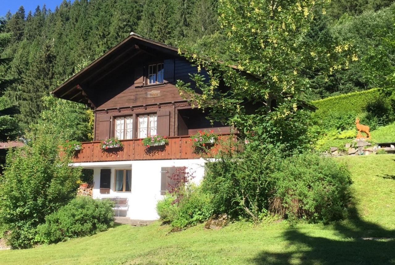 Bad-Schwarzsee Ferienwohnung Betula מראה חיצוני תמונה